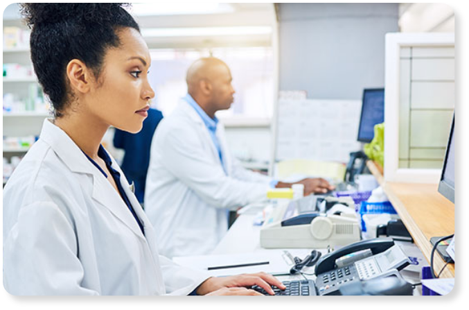 print dan download struk